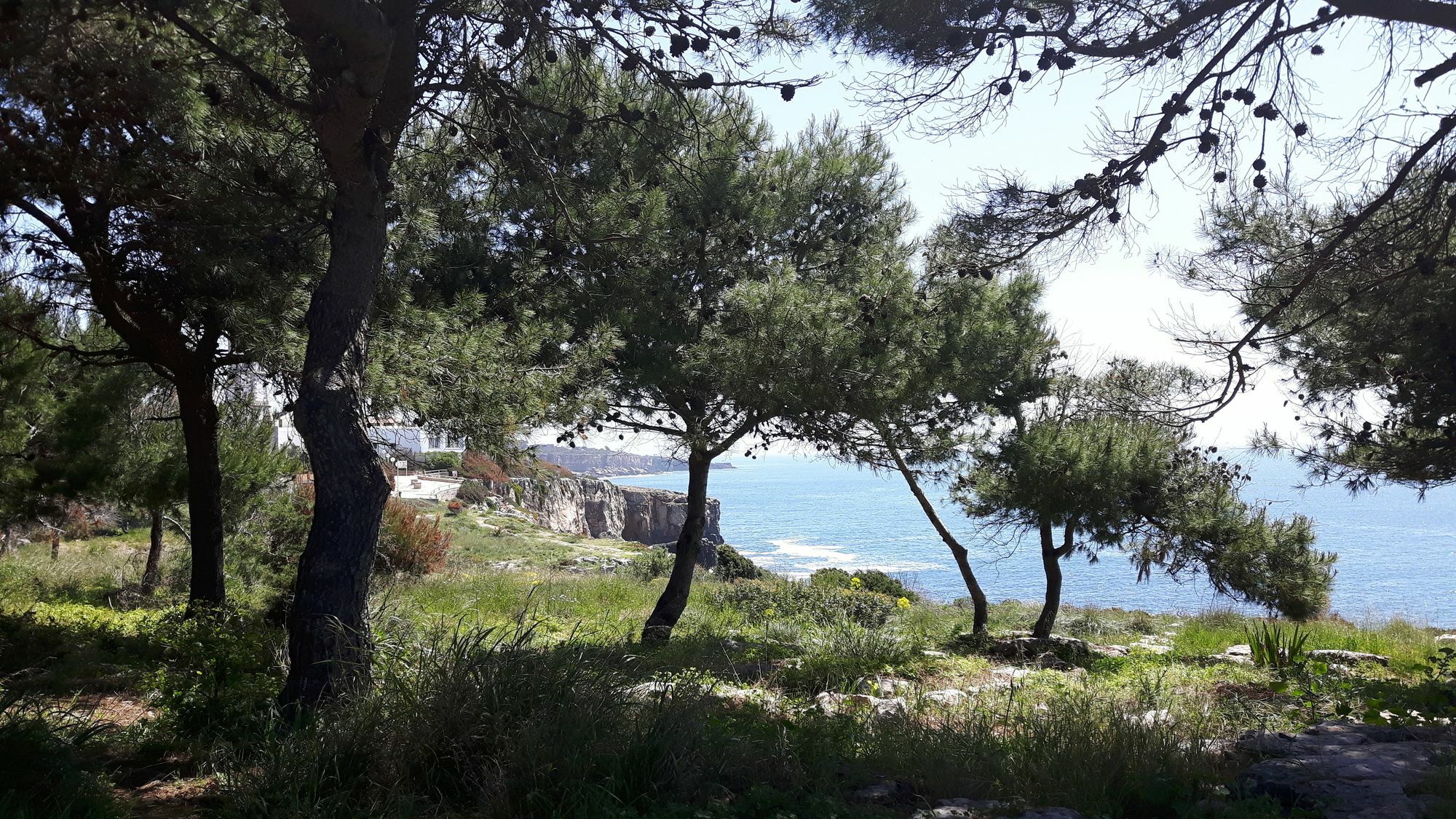 Charming Villa Golf&Beach Cascais Esterno foto